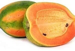 Fresh Papaya medium, 1 Piece (800gm