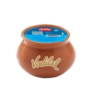 Vadilal Gulab Jamun Matka Ice Cream Net Qty: 100 ml