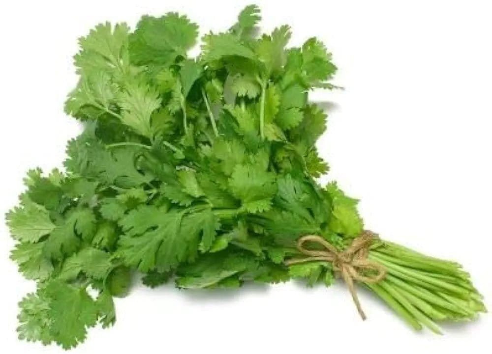 Fresh (Dhaniya) Coriander, 100 Gm - Leaves - Image 3