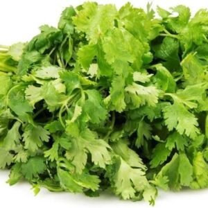 Fresh (Dhaniya) Coriander, 100 Gm - Leaves