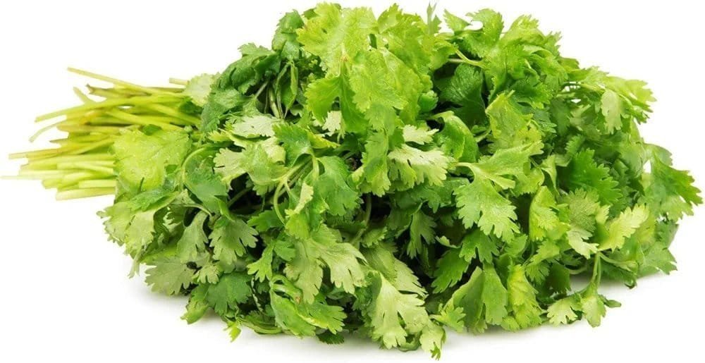 Fresh (Dhaniya) Coriander, 100 Gm - Leaves