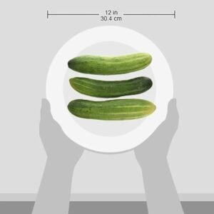 Fresh ( kheera ) Cucumber, 500g