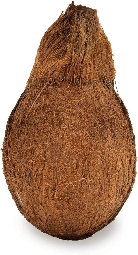 Fresh Coconut - Medium 1Pc (450-500gm) - Image 2